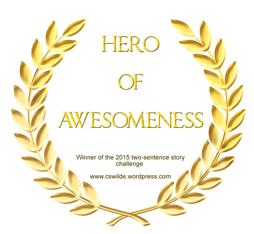 hero of awesomeness